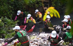 Quỹ vì tương lai xanh của Vingroup công bố chương trình hành động