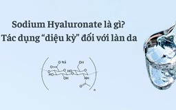 Sodium Hyaluronate là gì? Có thật sự mang lại tác dụng dưỡng ẩm, làm đầy nếp nhăn?