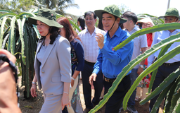 Bí thư Dương Văn An: 'Khó khăn chưa từng có, Bình Thuận vẫn bứt phá vươn lên'