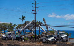 Công ty điện lực bị kiện vì thảm họa cháy rừng ở Hawaii