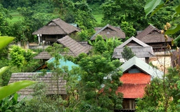 Dưới nếp nhà sàn: Ngôi làng Thái cổ giữa đại ngàn