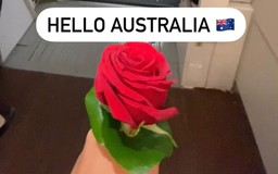 Bị phạt 1.200 USD chỉ vì mang một bông hồng vào sân bay