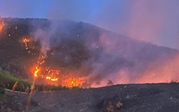 Quảng Bình: Hàng trăm người chữa cháy rừng keo
