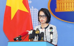 Bộ Ngoại giao phản đối hành động phá hoại quốc kỳ Việt Nam