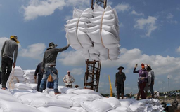 Bộ Công thương: Doanh nghiệp tránh mua gom lúa gạo ồ ạt, đẩy giá tăng bất hợp lý