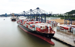 Chi phí vận chuyển Bắc - Nam 2.000 USD/container, trong khi sang Mỹ chỉ 1.000 USD