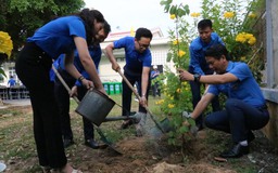 Ngày Chủ nhật xanh: Chung tay hành động cho thế giới sạch hơn