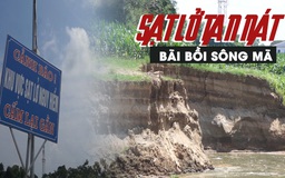 Sạt lở tan nát bãi bồi sông Mã, chưa biết khi nào mới dừng lại