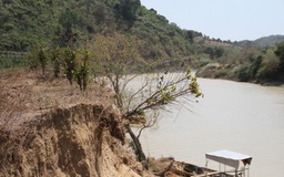 Đắk Lắk: Sạt lở bờ sông Krông Ana, yêu cầu 2 doanh nghiệp dừng khai thác cát