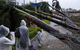 Bão Sao La đổ bộ Trung Quốc khiến cây ngã hàng loạt, một người chết 