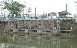 Đà Nẵng: Đảm bảo cấp nước khi nguồn cung chính bị nhiễm mặn