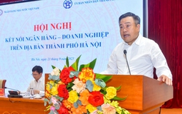 'Doanh nghiệp đã mất khả năng hấp thụ thì ngân hàng đưa nhân sâm vào vẫn chết'