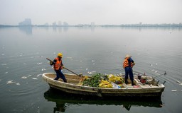 Cá chết hàng tạ mỗi ngày, nổi trắng hồ Tây