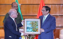 Thủ tướng Phạm Minh Chính tiếp lãnh đạo Hội Hữu nghị Brazil - Việt Nam