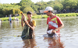 Nô nức lội bùn bắt cá ngày lễ