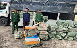Bộ đội Biên phòng Quảng Ninh bắt giữ hơn 6 tấn nội tạng lợn bẩn