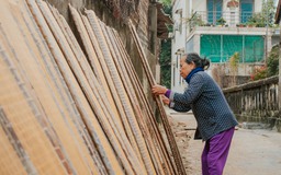 Bánh tráng phơi khắp làng, hoa đã xuống giống cho vụ tết