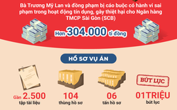 Xét xử bà Trương Mỹ Lan sau Tết Nguyên đán