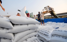Giá gạo Việt 'vững ngôi' cao nhất thế giới
