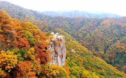 Điểm danh top 5 địa điểm du lịch Gwangju, Hàn Quốc mà bạn không nên bỏ qua