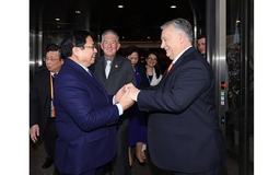 Việt Nam sẵn sàng là cửa ngõ để hàng hóa Hungary tiếp cận ASEAN