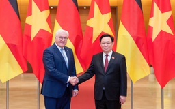 Chủ tịch Quốc hội Vương Đình Huệ hội kiến Tổng thống Đức Frank-Walter Steinmeier