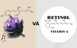 Tại sao các tín đồ skincare ngày càng yêu chuộng sản phẩm chứa Retinol thuần thực vật?