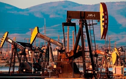 Giá xăng dầu hôm nay 3.1.2024: Giảm hơn 1 USD trong phiên đầu năm