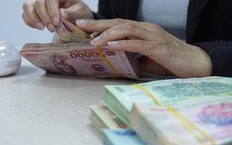 Hơn 2.600 lao động bị nợ 55,3 tỉ đồng tiền lương