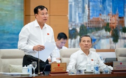 Điều chỉnh diện tích đất lúa để ĐBSCL 'thoát nghèo'