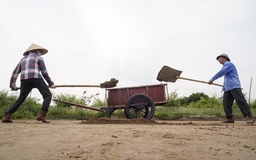 Làm muối trong vườn nhà