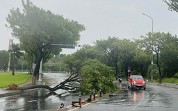 Bão Trà Mi hoành hành: VPF hoãn trận Đà Nẵng gặp Hải Phòng, dời ngày khác