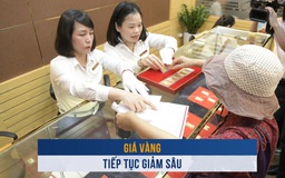 Biến động vàng ngày 13.11: Giá vàng tiếp tục giảm sâu