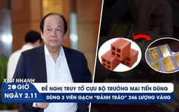 Xem nhanh 20h: Đề nghị truy tố cựu Bộ trưởng Mai Tiến Dũng | Ly kỳ dùng gạch đánh tráo 246 lượng vàng