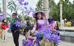 Giáo viên thành phố Festival hoa thi trang trí xe đạp hoa