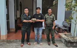 Thấy bán rùa núi vàng trên Facebook, người dân mua nộp Vườn quốc gia Phú Quốc