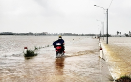 Mưa lớn gây ngập úng hàng ngàn ha lúa vừa gieo sạ ở Bình Định