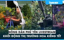 Nông dân Phú Yên livestream khởi động thị trường hoa kiểng tết