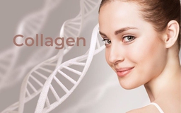 Uống collagen có thật sự đang phí tiền - Lời giải đáp từ chuyên gia