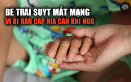 Bé 6 tuổi suýt mất mạng vì bị rắn cạp nia cắn khi ngủ