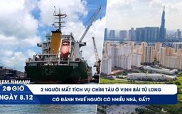 Xem nhanh 20h ngày 7.12: 2 người mất tích vụ chìm tàu ở vịnh Bái Tử Long | Có đánh thuế người có nhiều nhà, đất?