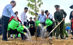 Chủ tịch nước Võ Văn Thưởng phát động Tết trồng cây ở Tuyên Quang
