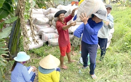 Doanh nghiệp trúng thầu lớn, nông dân yên tâm ăn tết