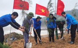 Trồng 10.000 cây phi lao phòng hộ ven biển Nghệ An