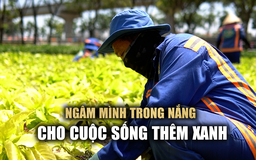 Nghề chăm sóc cây xanh: Nhọc nhằn mưu sinh giữa nắng gắt Sài Gòn