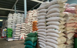 Bến Tre: Phát hiện hơn 380 tấn gạo ngoại không nhãn mác