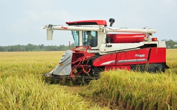 Philippines nhập đến 4,1 triệu tấn, gạo Việt Nam thêm nhiều cơ hội
