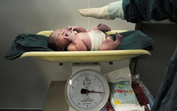 Thế giới sắp xáo trộn lớn vì tỷ lệ sinh giảm