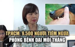 Hơn 9.500 người tiêm ngừa bệnh dại mỗi tháng ở TP.HCM