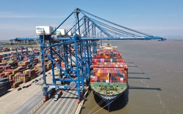 Vượt thu hoạt động xuất nhập khẩu, Hải Phòng được Thủ tướng thưởng 926,6 tỉ đồng 